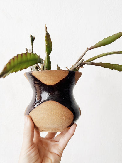 Rare Epiphylum Cactus Potted in Handmade Ceramic