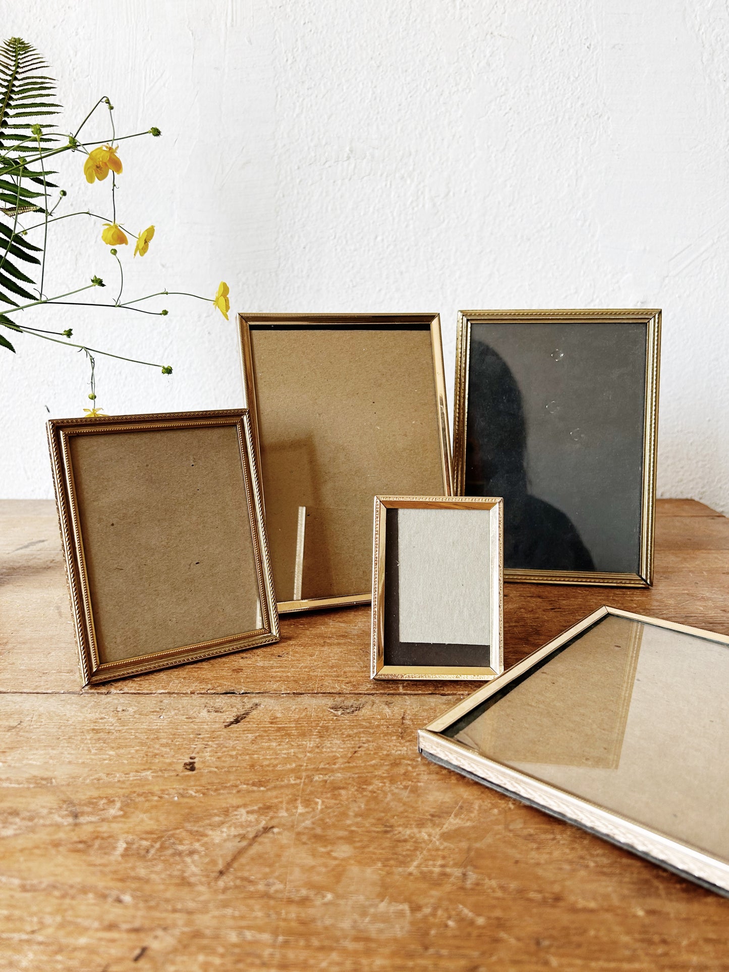 Mid Century Frame Collection