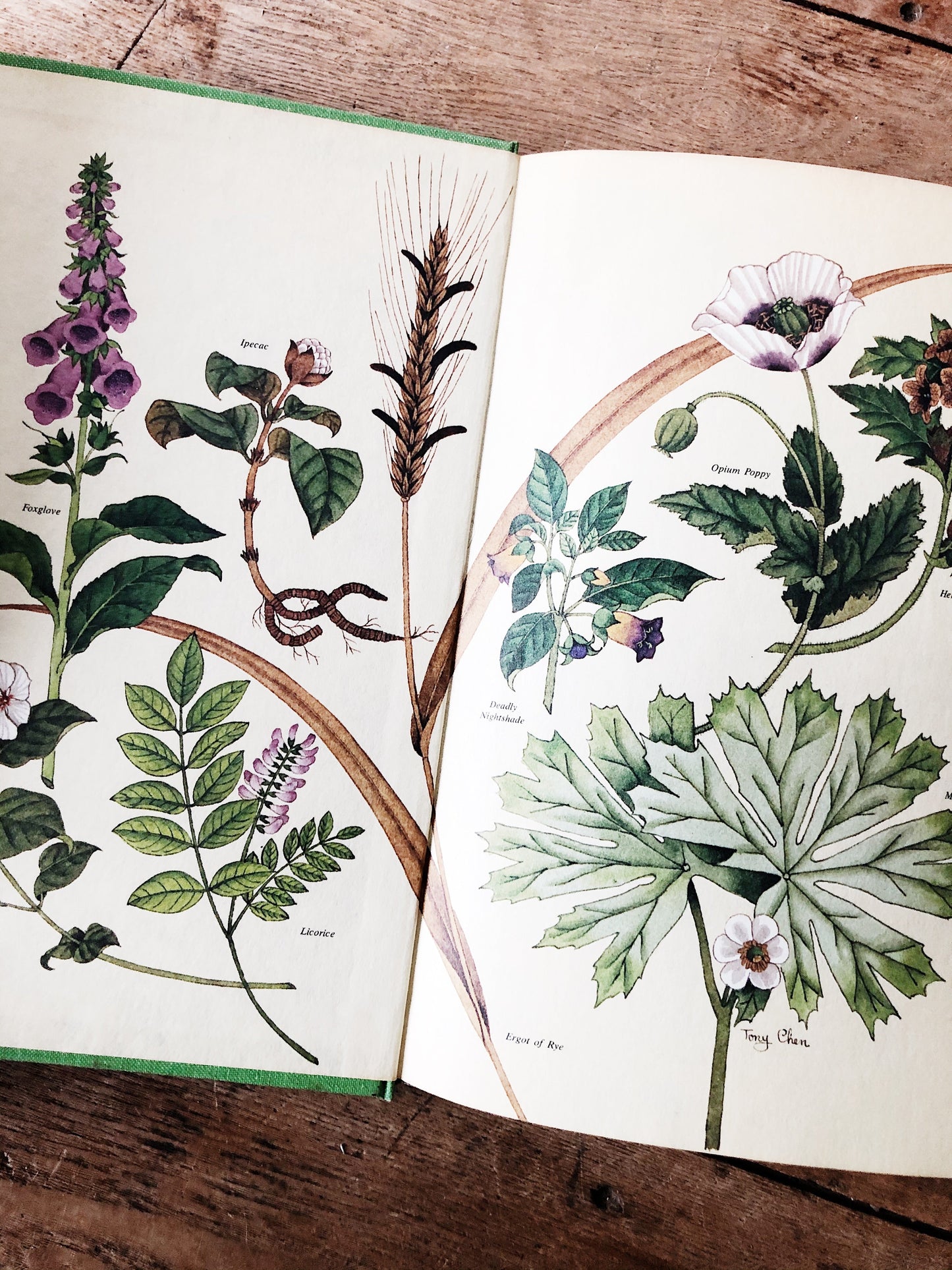 1970s Healing Arts Book