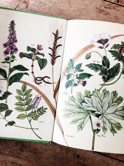 1970s Healing Arts Book