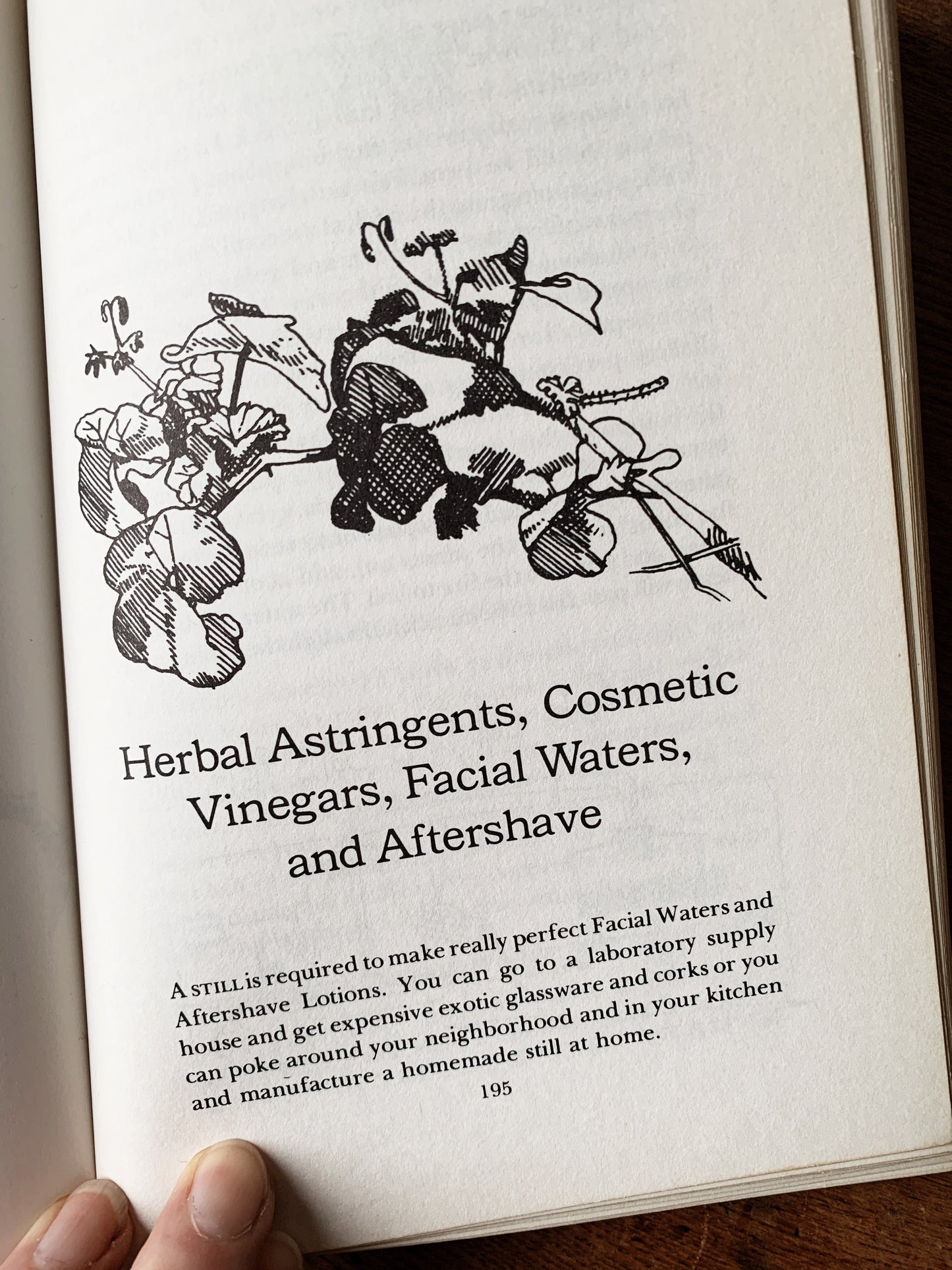 Jean Rose’s Herbal Body Book