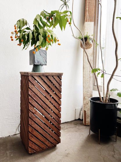 Vintage Lighted Stand