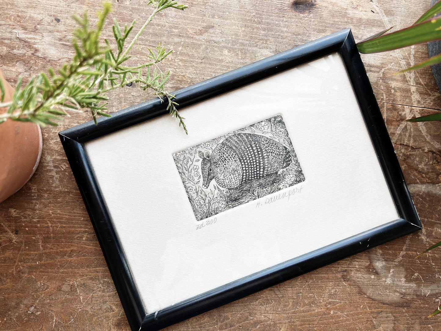 Vtg Original Armadillo Etching