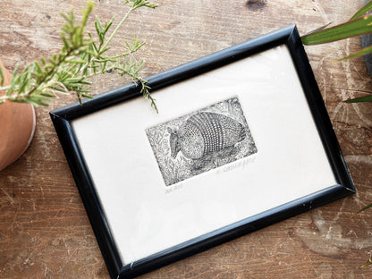 Vtg Original Armadillo Etching