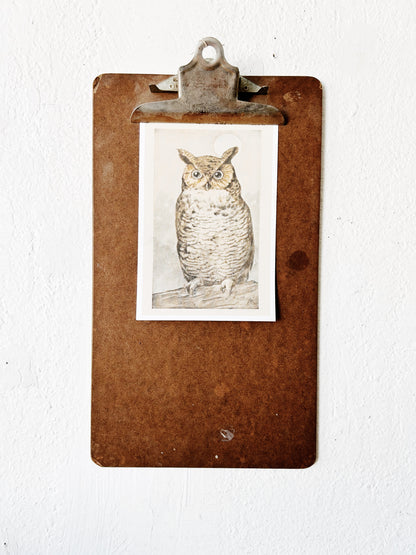 Antique Clipboard with Owl Print
