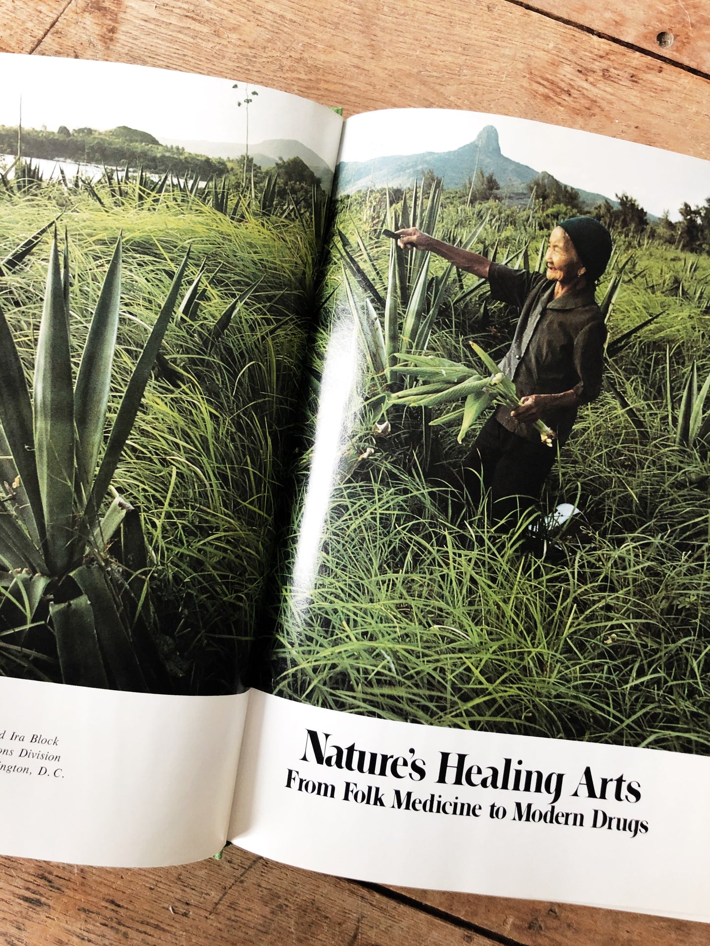 1970s Healing Arts Book