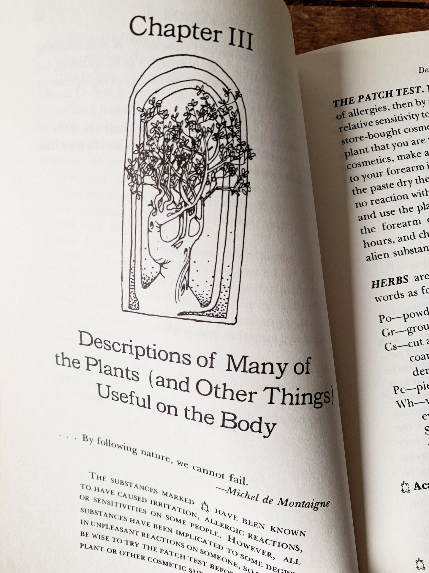 Jean Rose’s Herbal Body Book