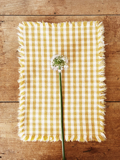 Vintage Checkered Placemats