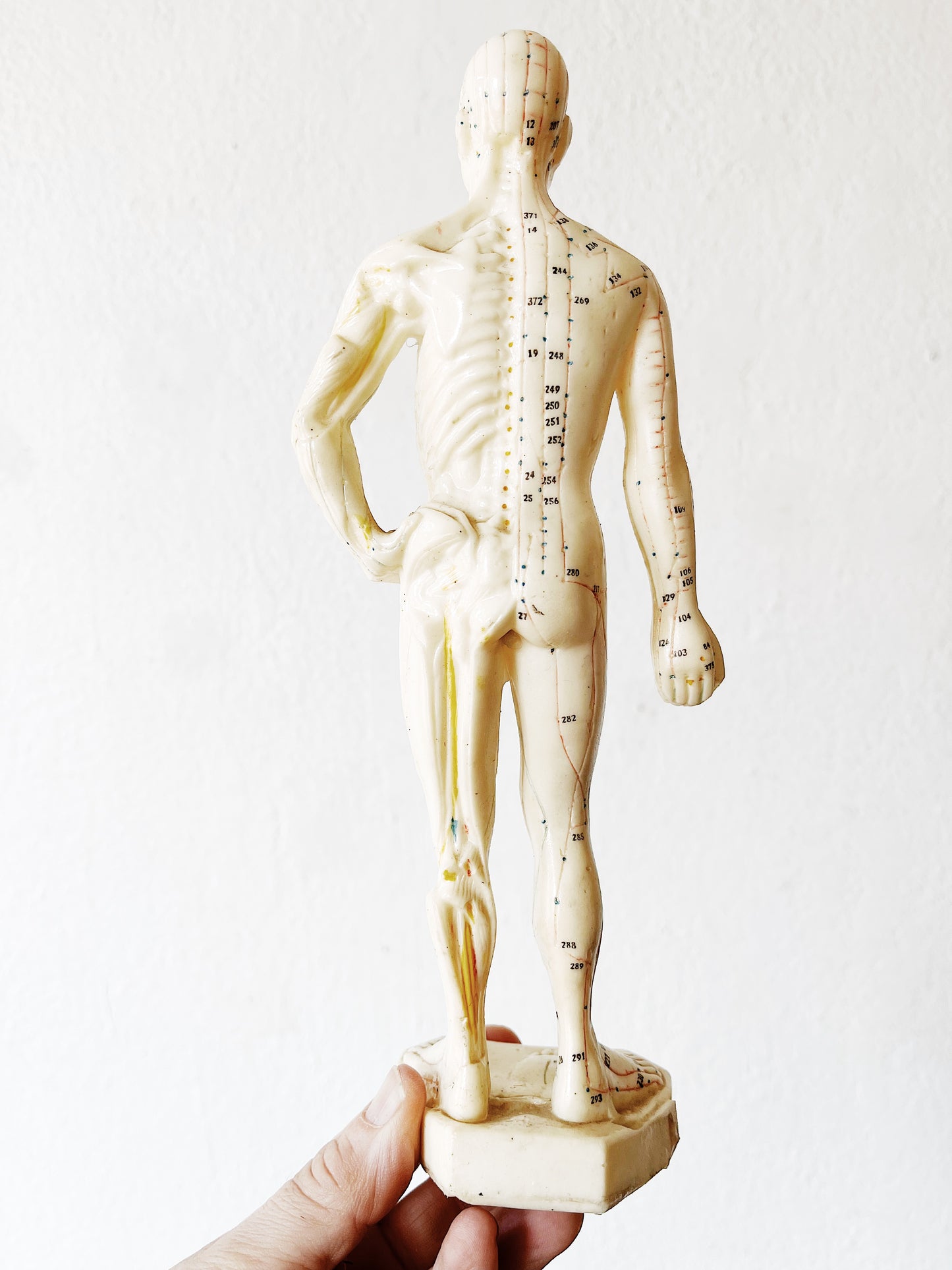 Vintage Reflexology Model