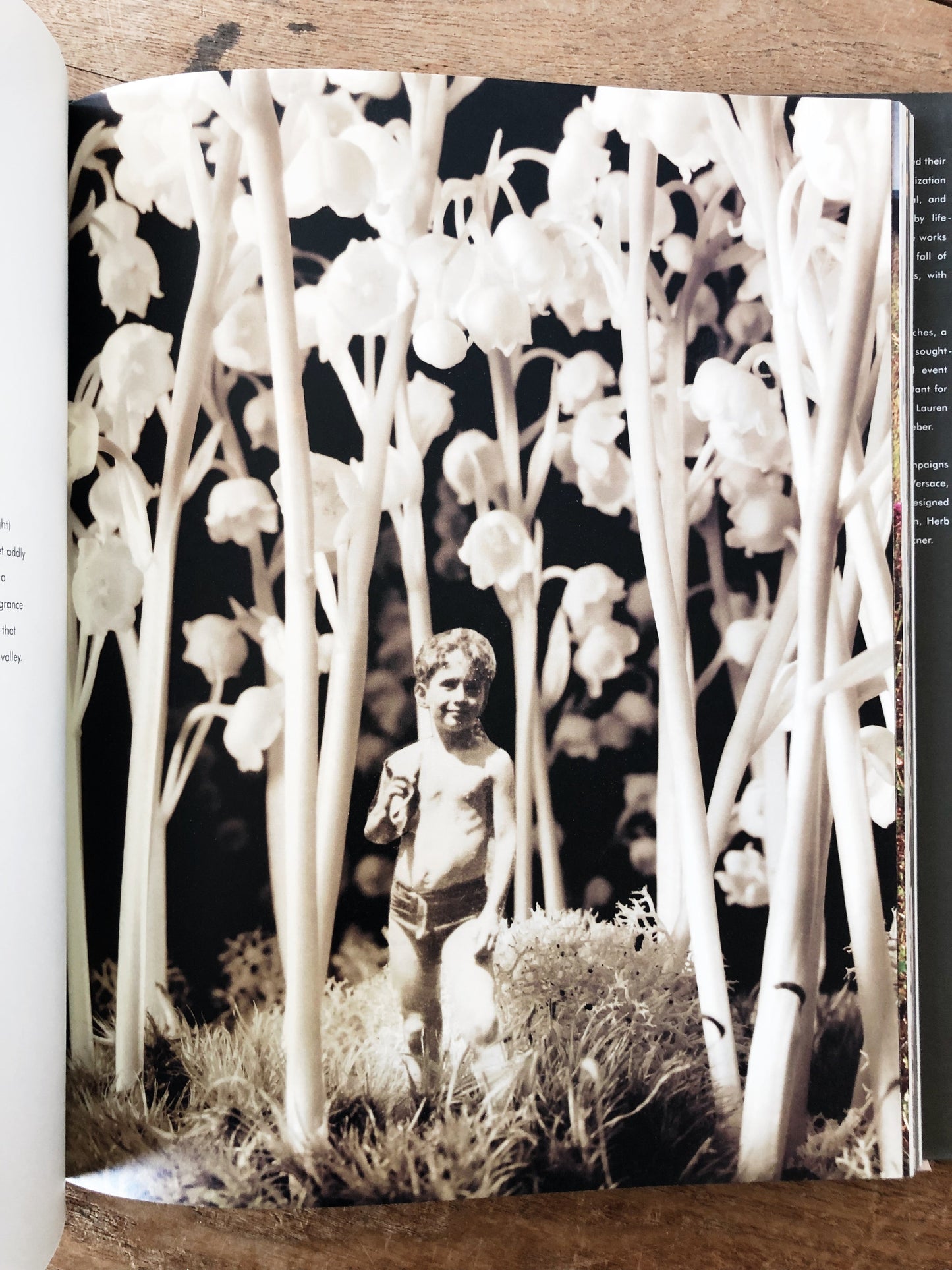 Naked Flowers Exposed Vintage Book
