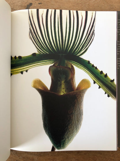 Naked Flowers Exposed Vintage Book
