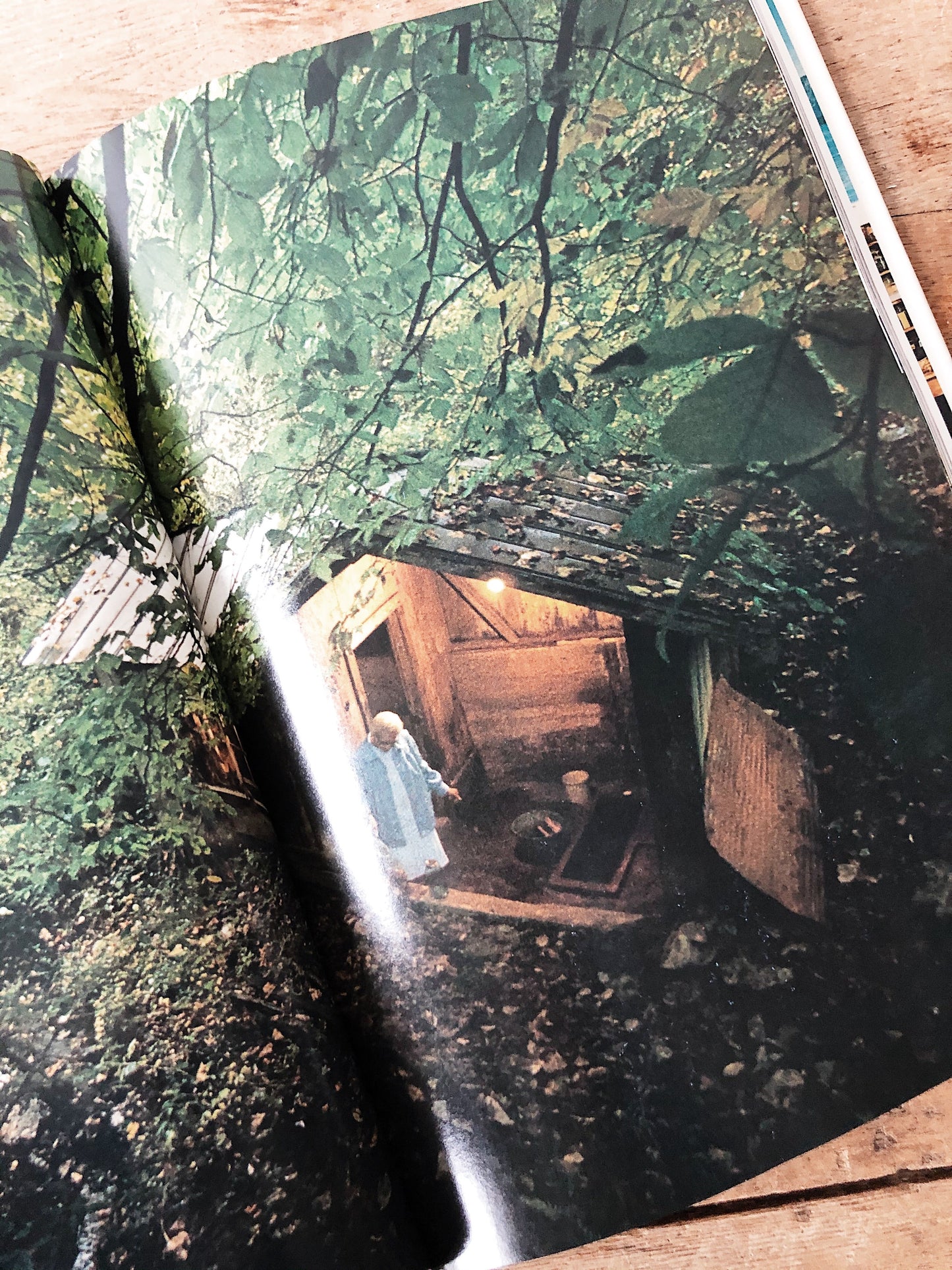 1970s Healing Arts Book