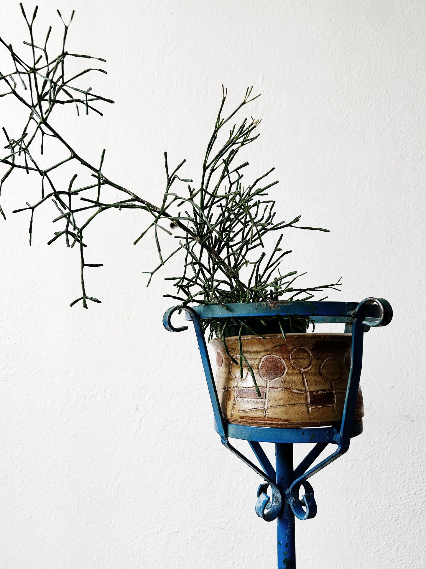 Antique Iron Plant Stand