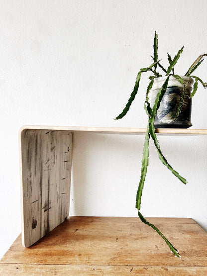 Modern Bentwood Bench