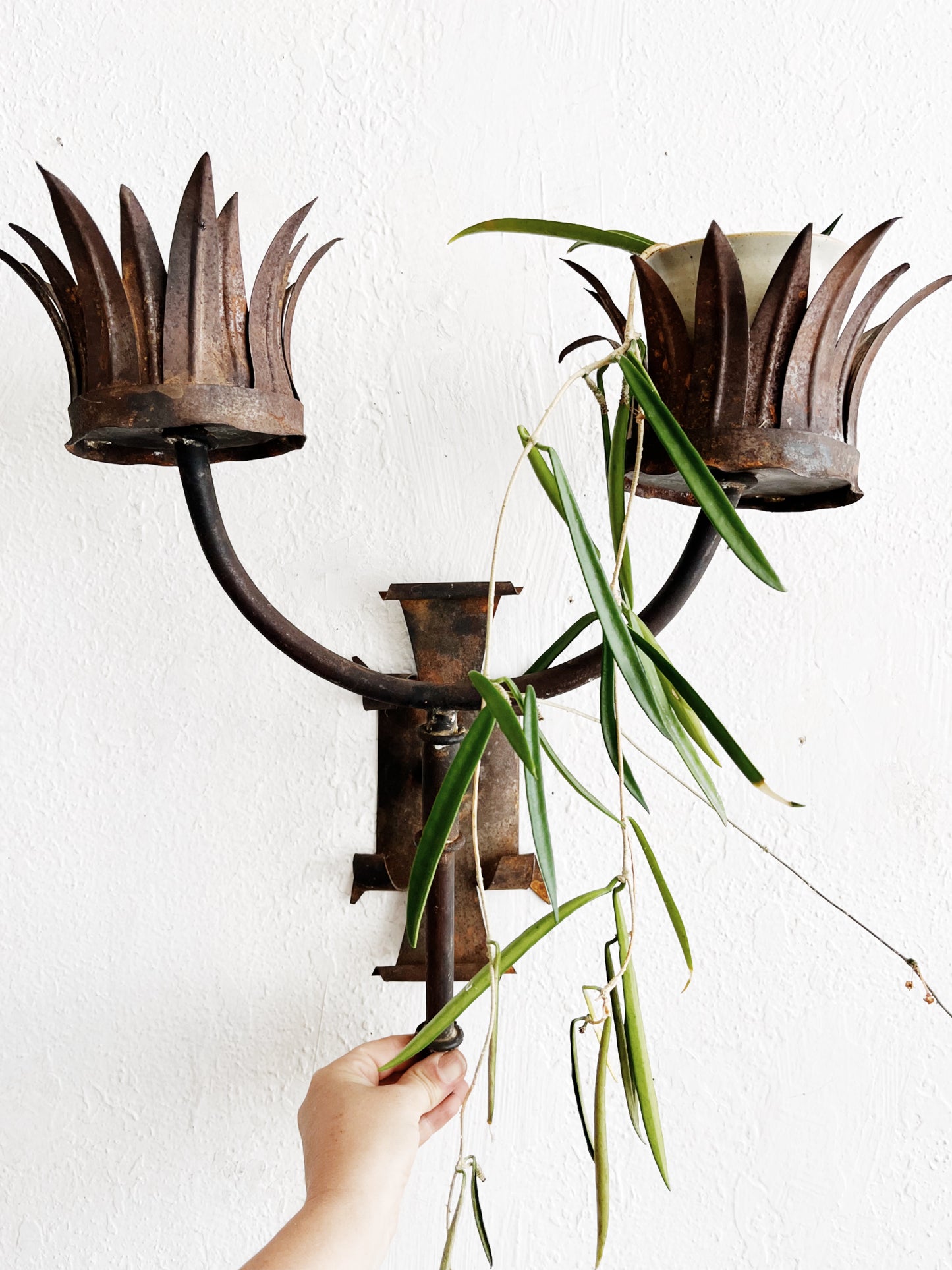 Antique Gothic Iron Sconce