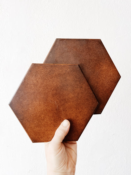 Pair Italian Hex Tile Trivets