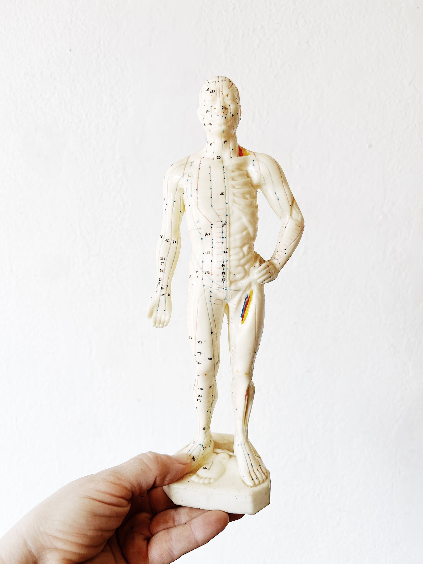 Vintage Reflexology Model
