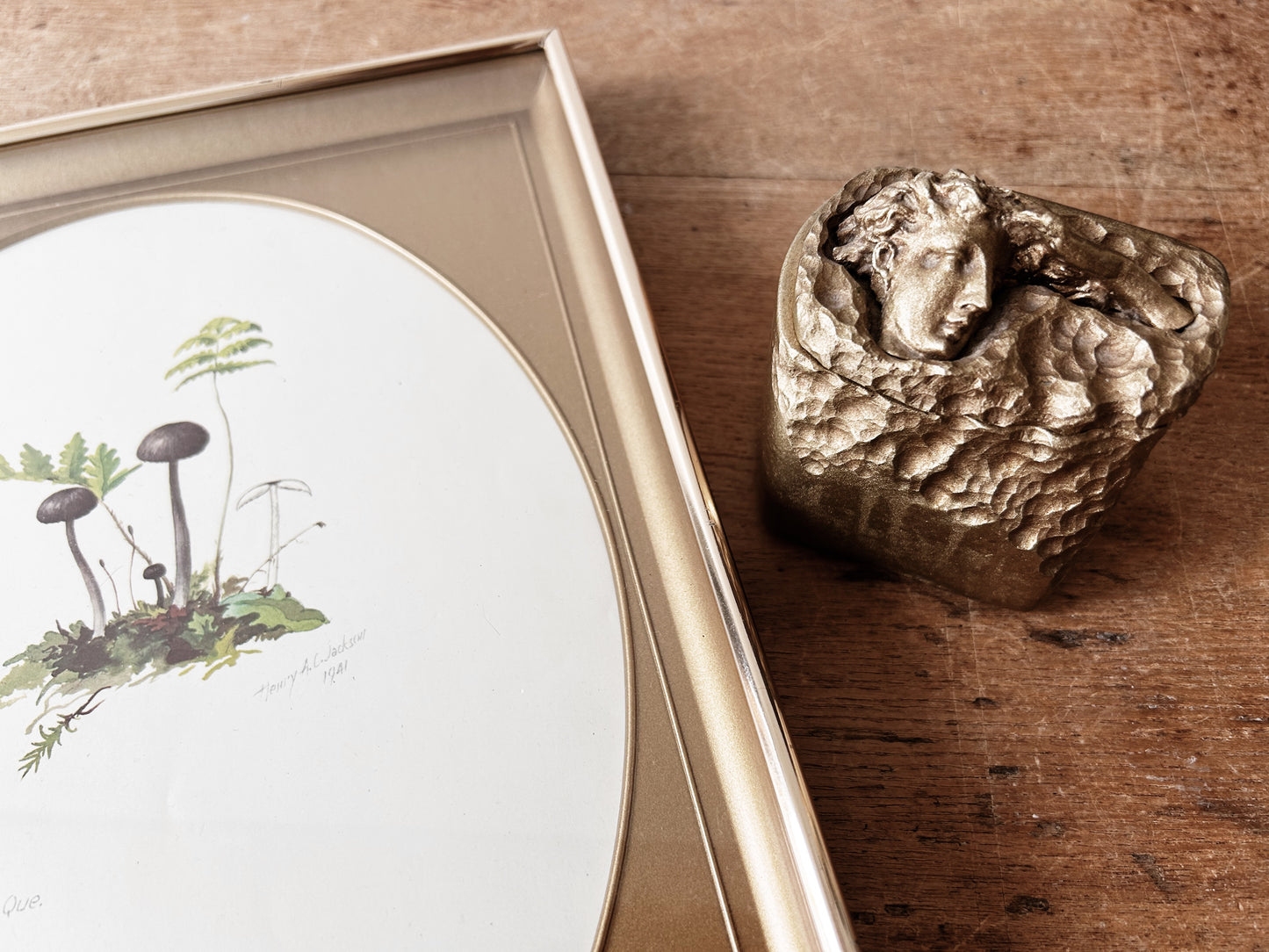 Mid Century Framed Mushroom Book Plate