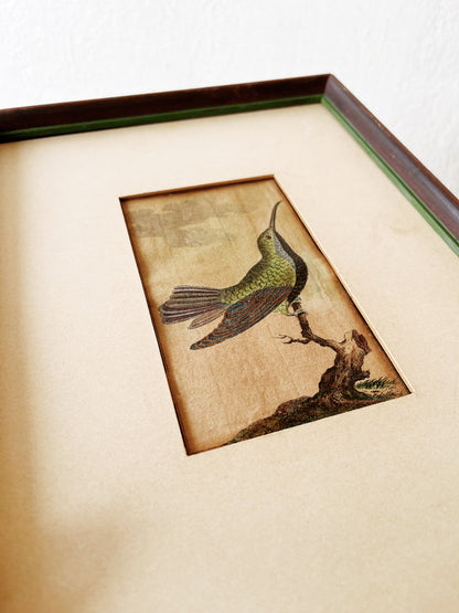 Antique German Hummingbird Plate