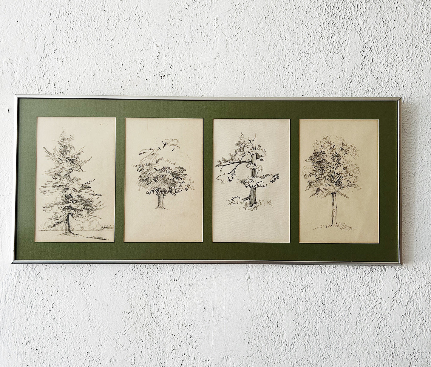 Vintage Original Framed Tree Study