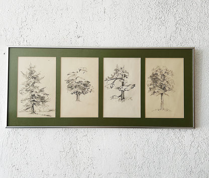 Vintage Original Framed Tree Study