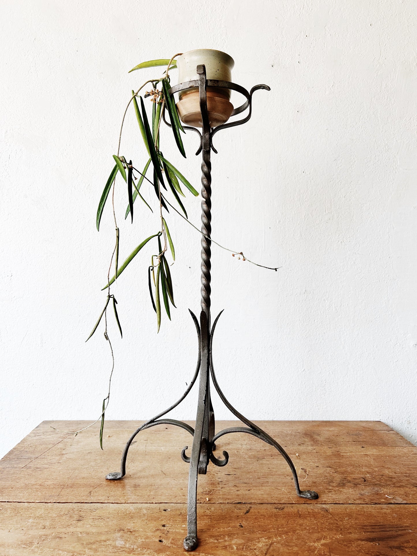 Antique Iron Plant Stand