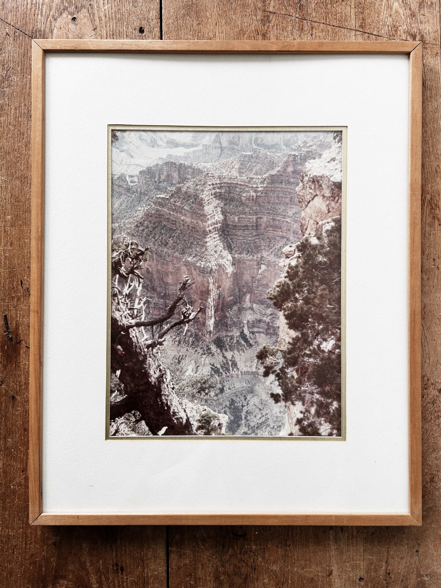 Large Format Framed Canyon Film Photograph