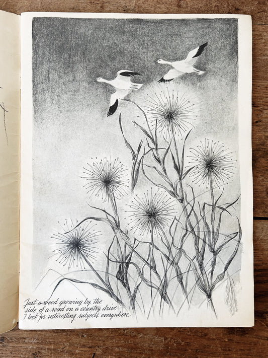 Mid Century Illustrated Art Folio