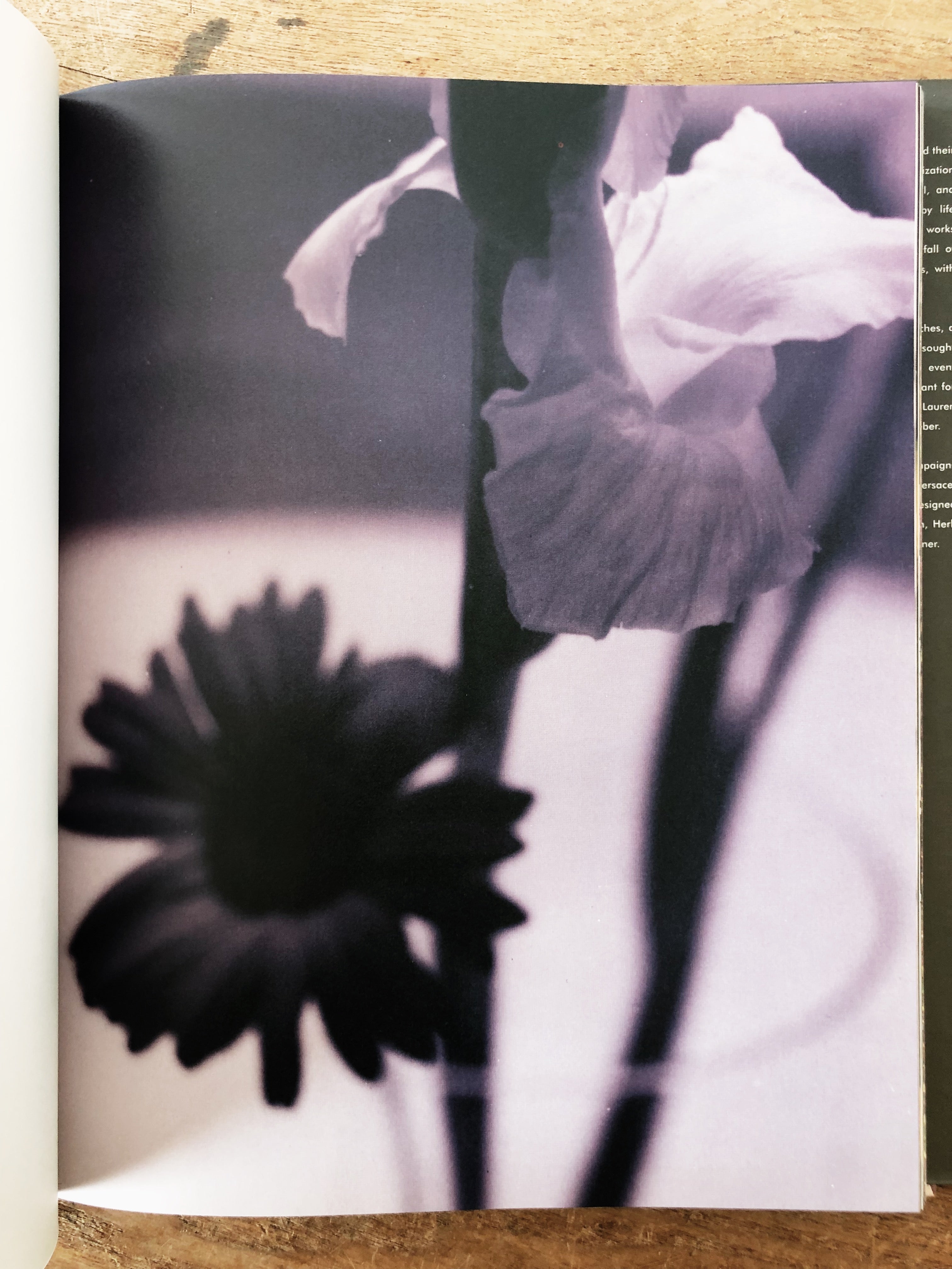 Naked Flowers Exposed Vintage Book – Maven Collective