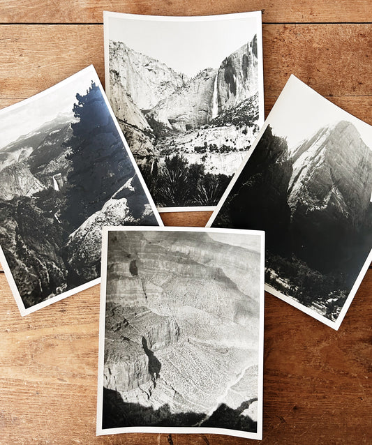 1940’s National Park Black and White Photo