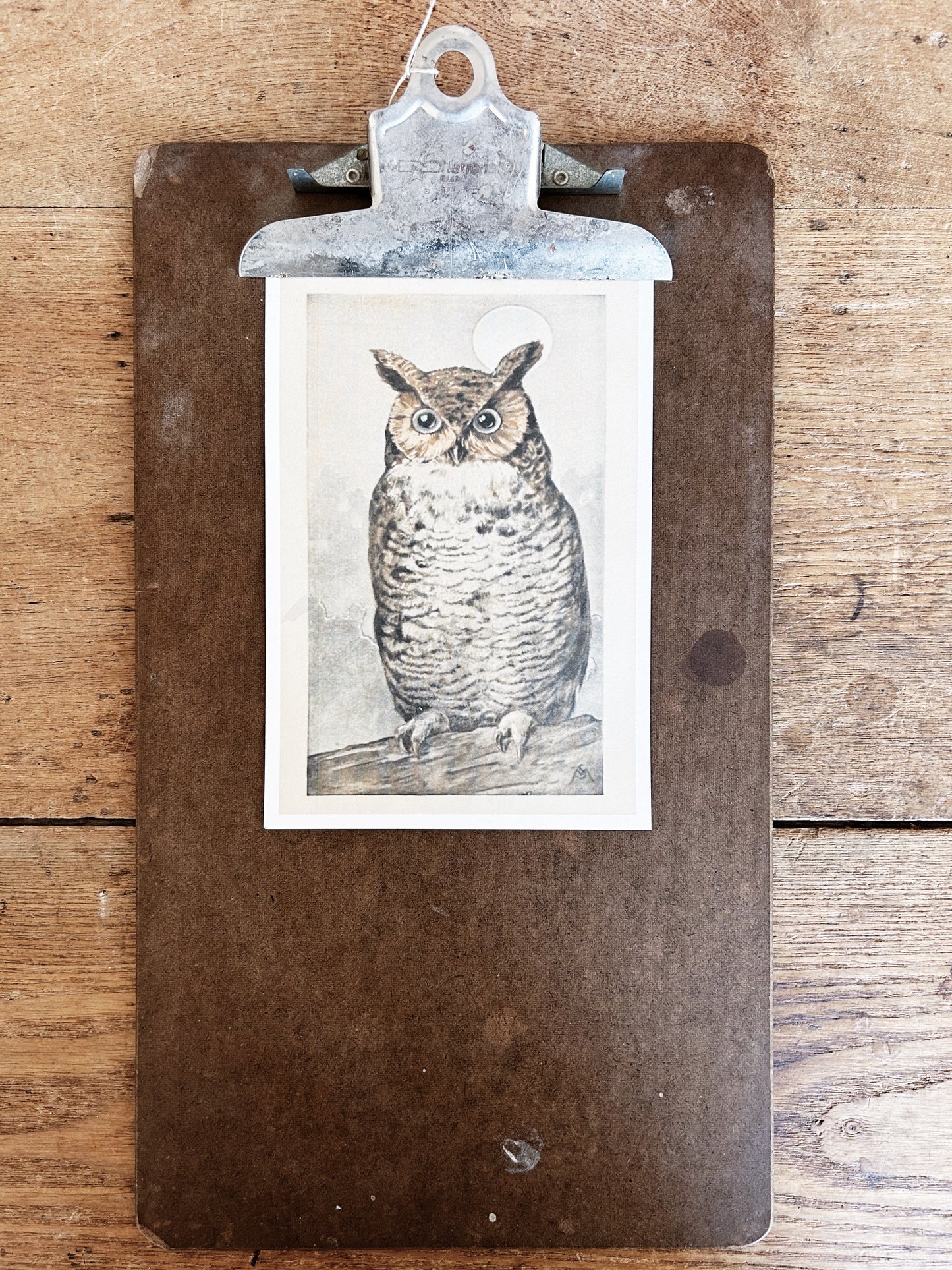 Antique Clipboard with Owl Print