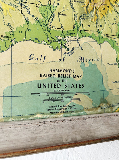 Mid Century Framed Relief Map