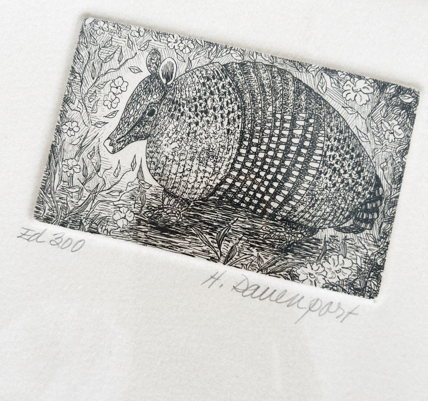 Vtg Original Armadillo Etching