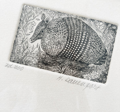 Vtg Original Armadillo Etching