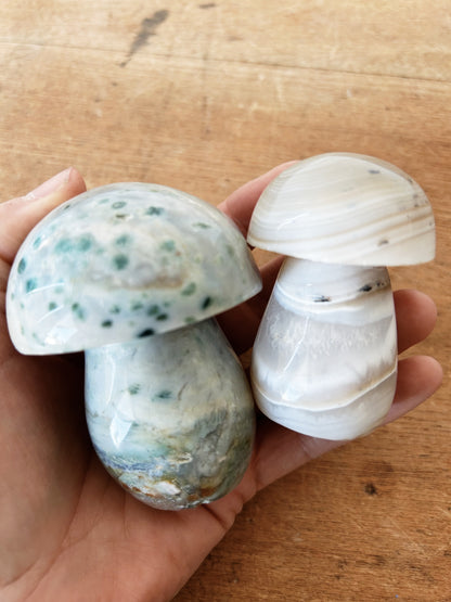 Marble Mushrooms