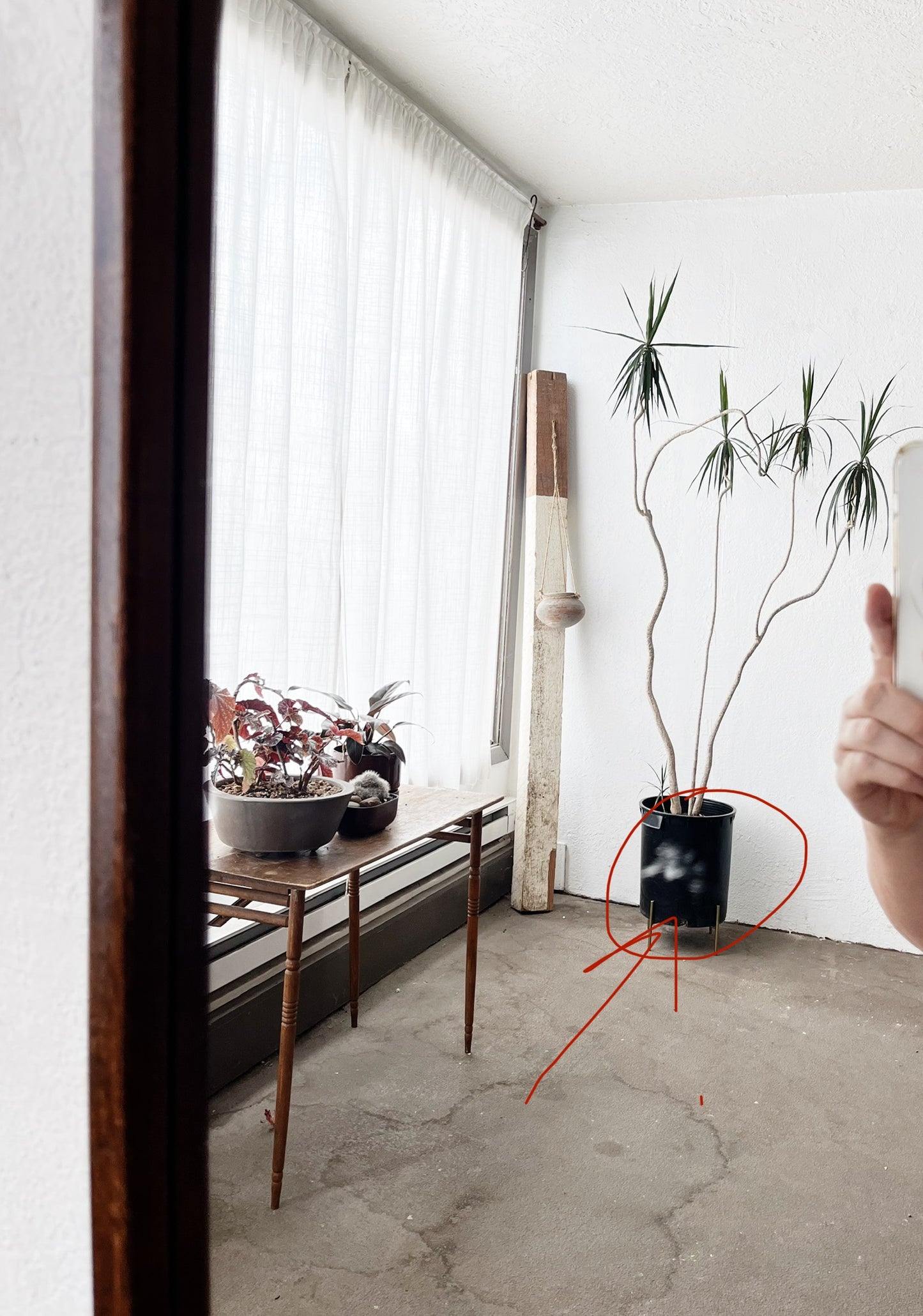 Mid Century Wall Mirror