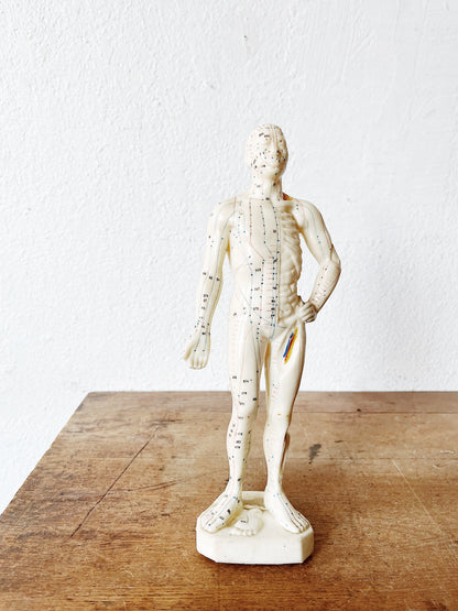Vintage Reflexology Model