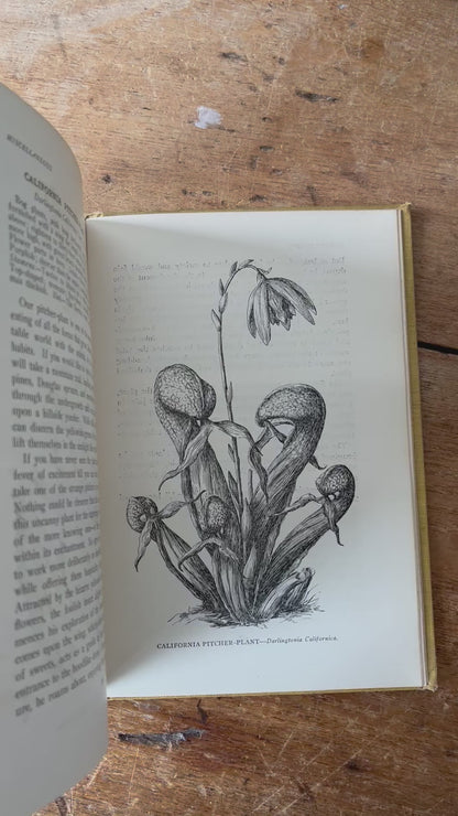 Vintage Gardening Books