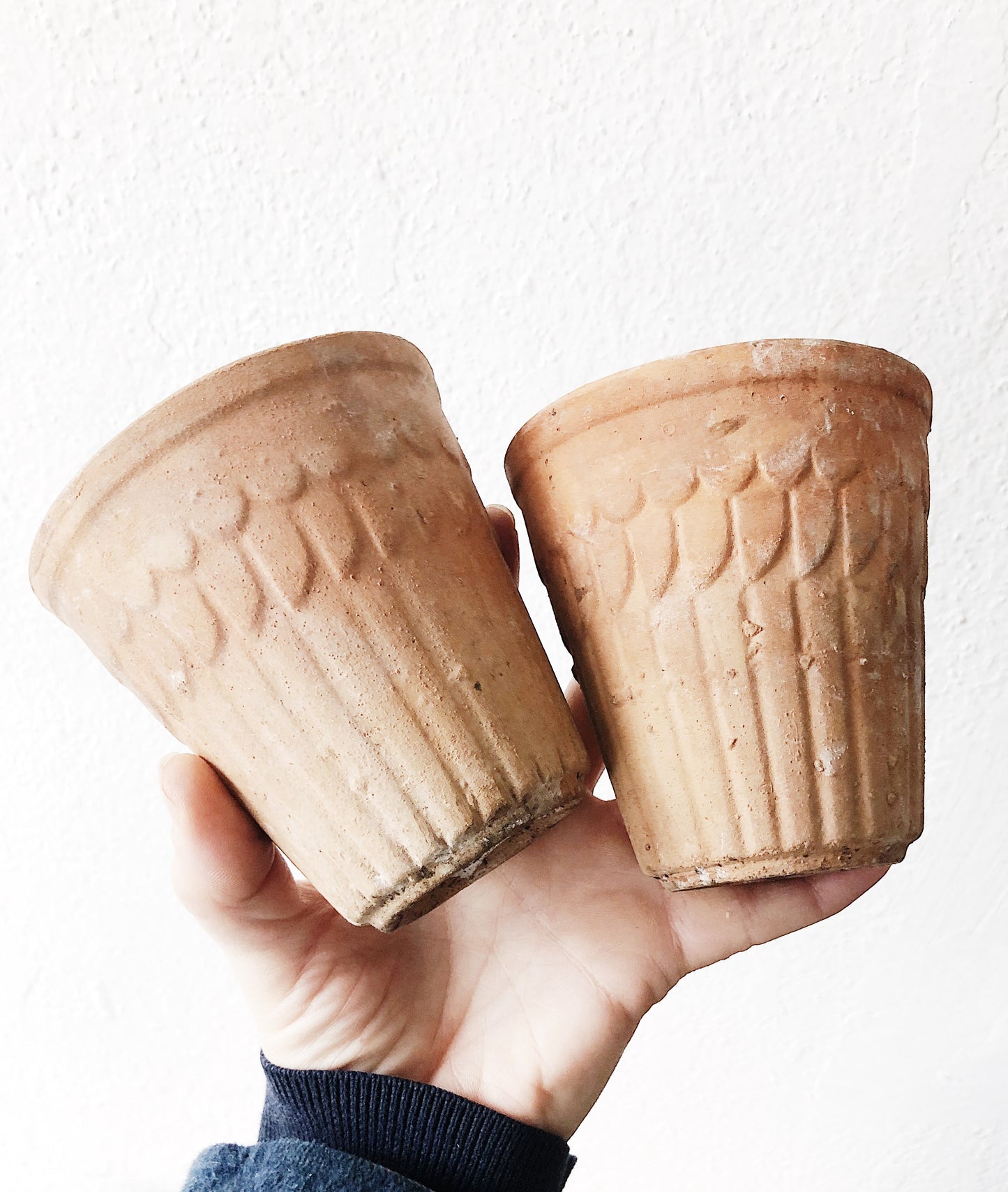 Pair of Terracotta Pots