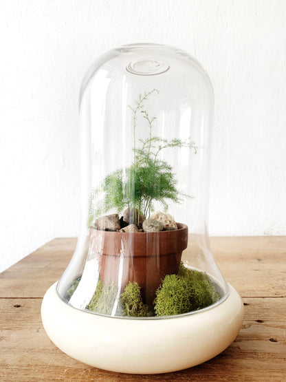 RESERVED Terrarium