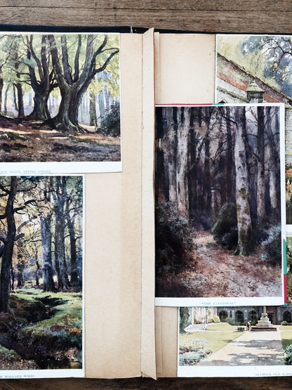 Vintage Landscape Color Study Scrapbook