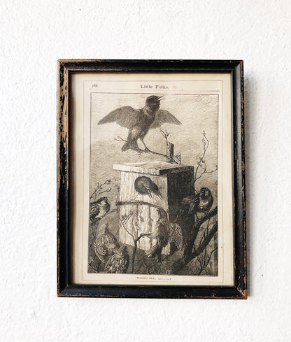 Antique Avian Lithograph
