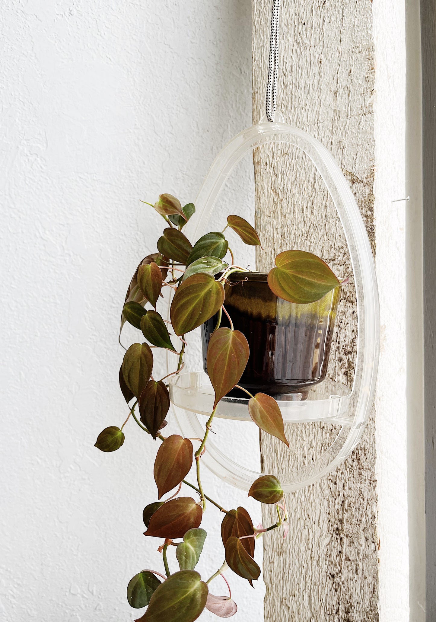 Vintage Teardrop Plant Hanger
