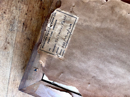 Antique Hand Tinted Photo of Multnomah Falls