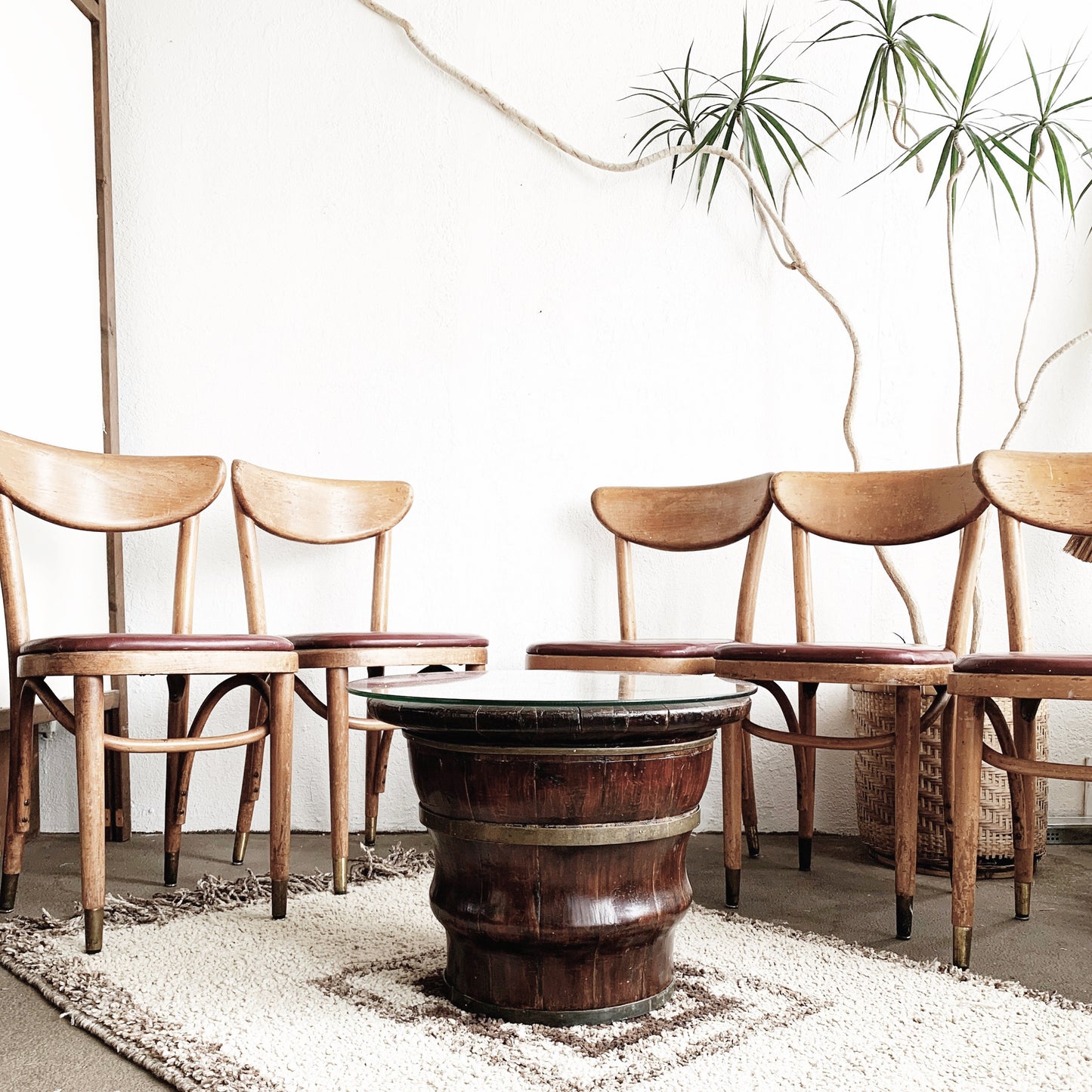 Mid Century Thonet Chairs Set of Five