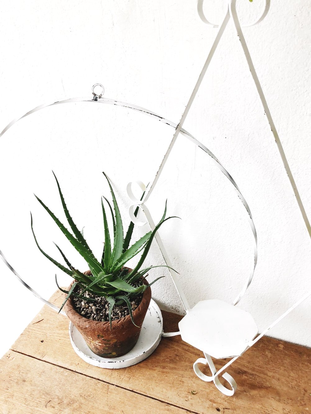 Oversized Vintage Plant Hangers