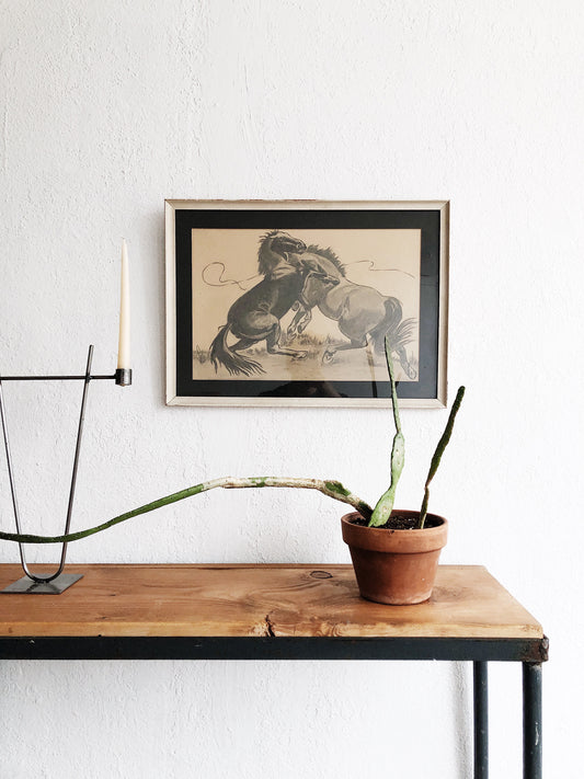 Vintage Original Stallion Charcoal Drawing