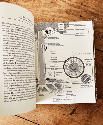 Vintage Natural History Book
