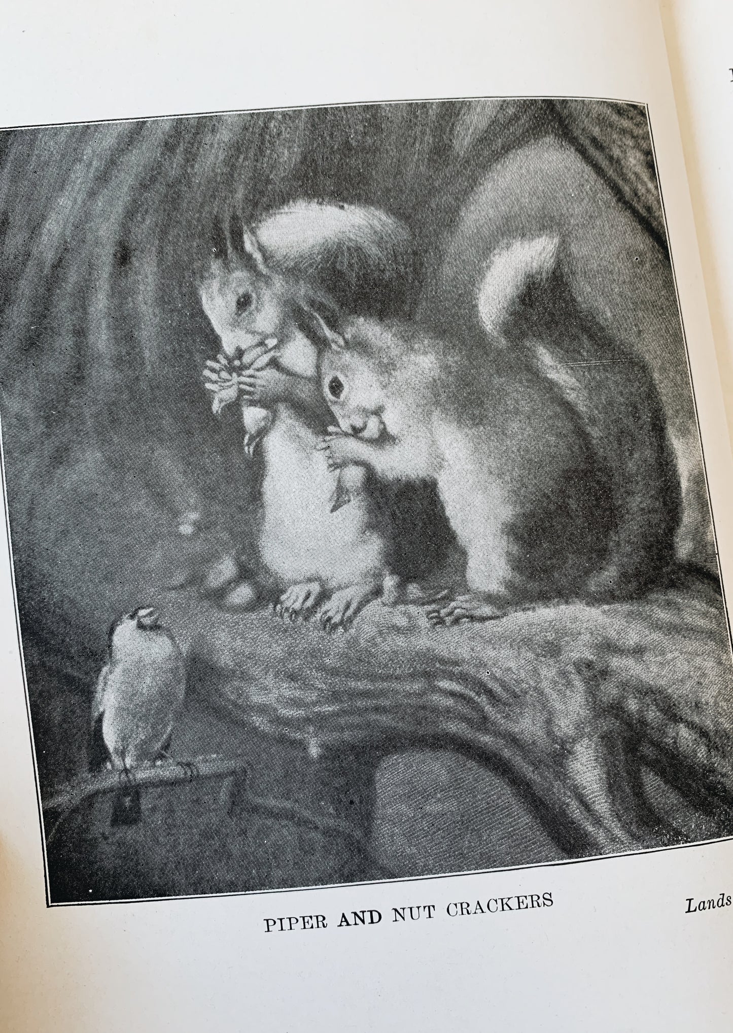 Vintage Children’s Art Book