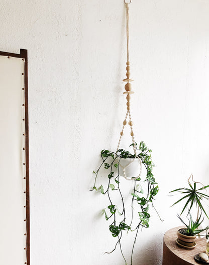 Monstera Adansonii in Macrame